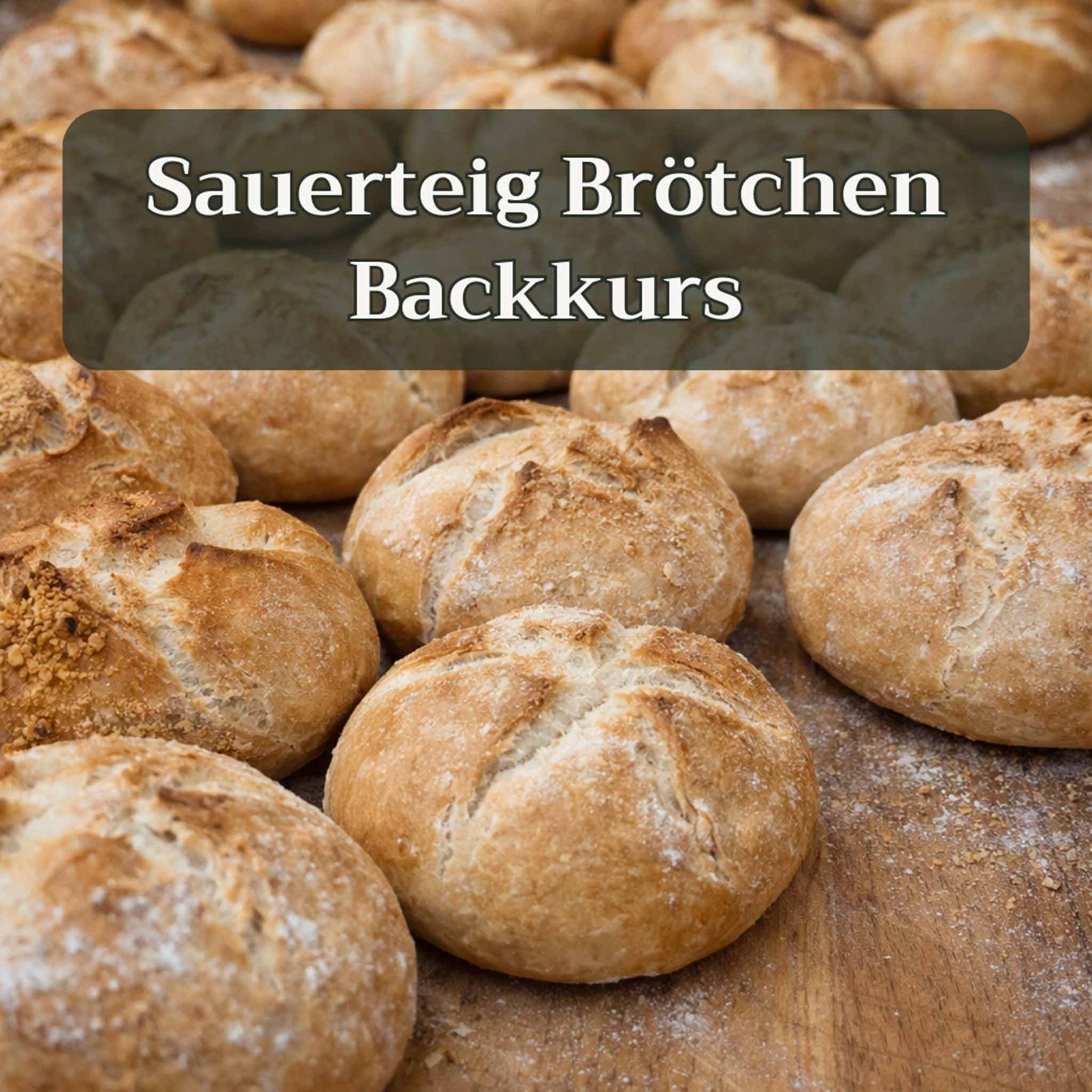 Sauerteig Brötchen Backkurs